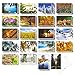 Best Paper Postcards 40 Pack Nature Bulk, Blank Travel Postcards for Mailing, 20 Assorted Scenic Photos, Four Seasons (4x6 In)