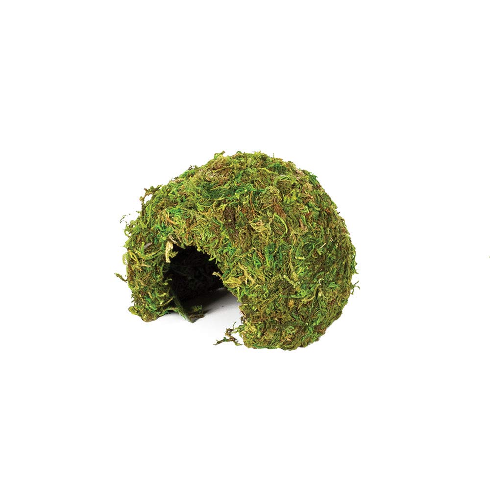 Komodo Natural Moss Cave Nesting Habitat Safe Durable Natural Looking Easy Clean Sheltered Hide Spot for Reptiles - Small
