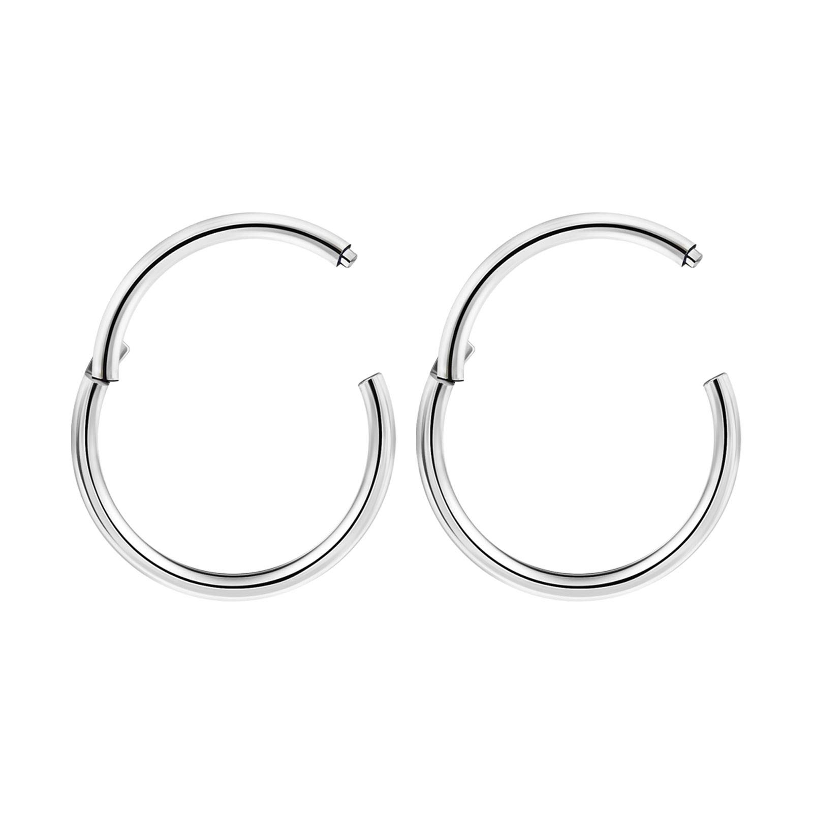 2pcs Surgical Steel High Polished Hinged Segment Ring Hinged Clicker 18g 5/16 8mm Earrings Nose Piercing Jewellery 3435