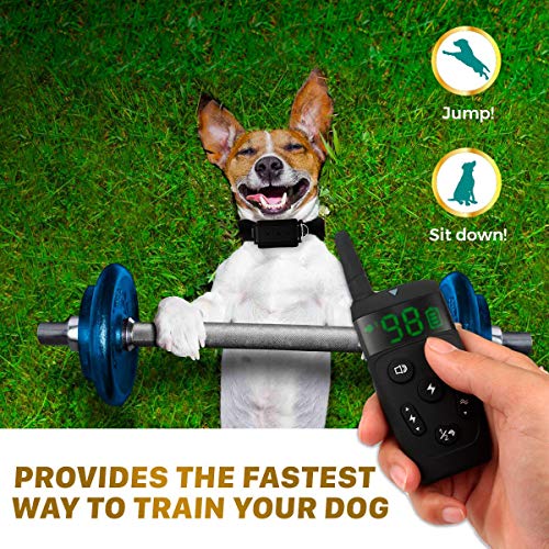 3 Collar+Shock+Rechargeable+Dogs+Small