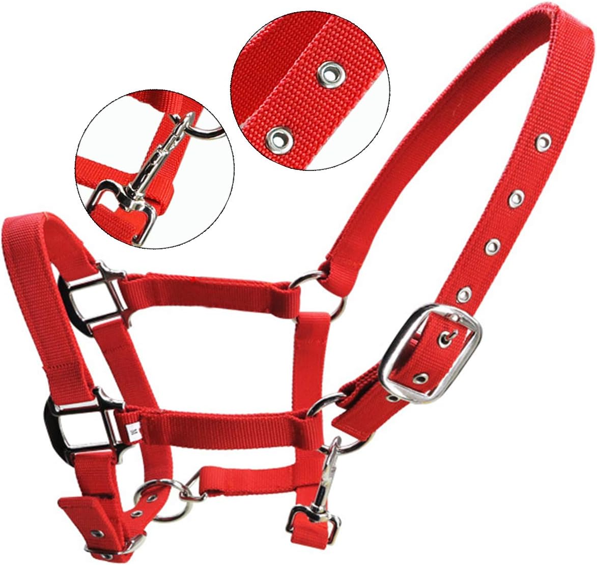 Queen.Y Horse Halter Durable Thickened Adjustable Horse Head Collar Horse Riding Racing Equipment: Sports & Outdoors