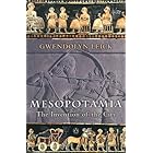 Mesopotamia: The Invention of the City