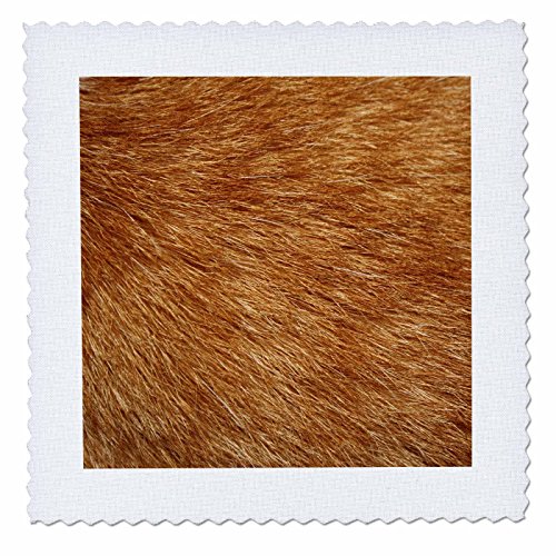 3dRose qs_80386_10 Orange Tabby Cat Fur-Quilt Square, 25 by 25-Inch
