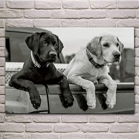 arteWOODS Animales Labrador Retriever Perros Patas de Perro Cuerpo Sala