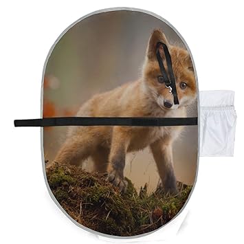 fox diaper change