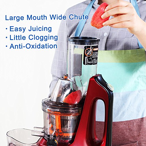 SKG Wide Chute AntiOxidation Slow Masticating Juicer (240W AC Motor