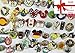 Disney Pins Trading Lot of 50 w/ No Duplicates Lapel Collector Pins Disneyland pins