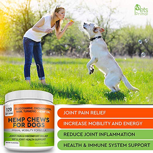 Hemp Hip & Joint Supplement for Dogs Glucosamine, Chondroitin, MSM