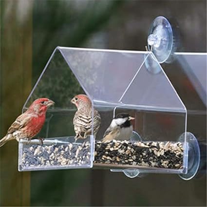 Hot Bird Feeding Creative Window Bird Feeders Clear Glass