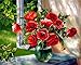 DIY oil Painting by Numbers kit 16x20 