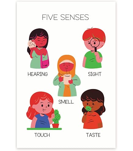 Bliss Monkey Co. Parts Of A Plant Poster - Anatomy Of A Plant - Science...