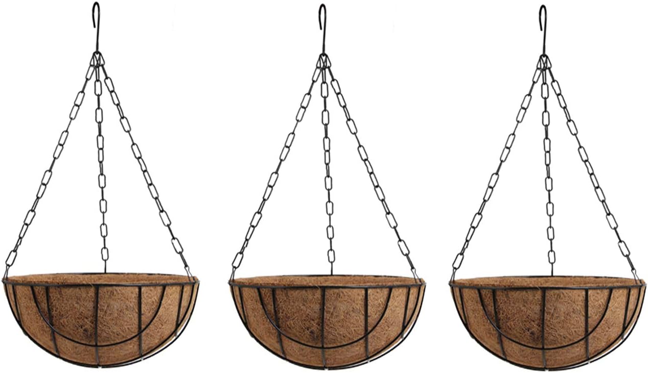 DIVINE TREE Small Balcony Hanging Flower Basket Planter with Cocopeat Liners Metal Iron Chain for Hanging Pot Flowers Plants (6 Inch, Pack of 3)