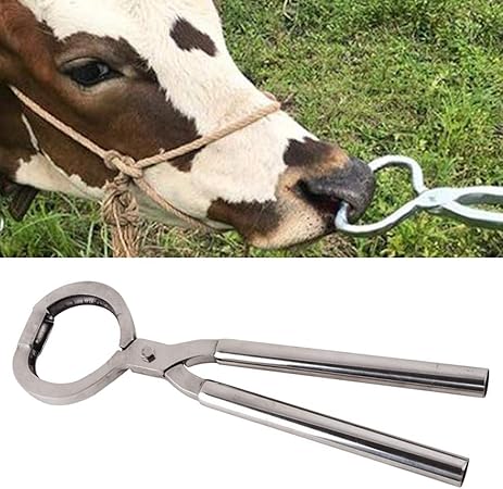 Alaof Cow Nose Pliers Stainless Steel Taurus Cow Nose Guide The Cattle Nose Ring Pulling Tool Amazon Co Uk Kitchen Home