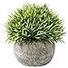 Leyaron Mini Plastic Fake Green Grass Small Artificial Potted Plants for Home Decor and Office