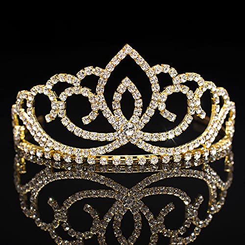 Anderson's Gold Sasha Tiara and Tiara Bag Set, Prom Tiaras, Tiaras, Pageant Tiaras