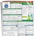 Compliance Assistance - 2021 California State and Federal All-in-one Labor Law Poster - Laminated (English)