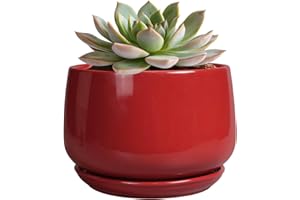 G EPGardening Ceramic Pot for Plants - 6 Inch Plant Pot with Drainage and Ceramic Tray, Modern Living Room Decor, Planter for Housewarming Gifts New Home, Red