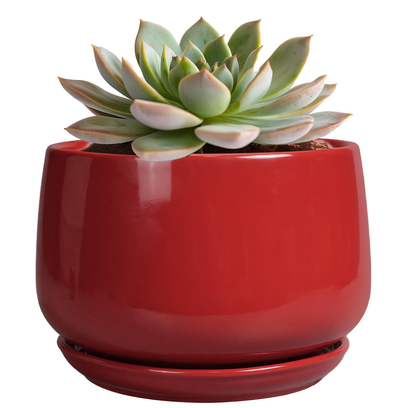Photo 1 of G EPGardening Ceramic Pot for Plants - 6 Inch Plant Pot with Drainage and Ceramic Tray, Modern Living Room Decor, Planter for Housewarming Gifts New Home, Red