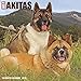 Akitas 2020 Wall Calendar (Dog Breed Calendar) by
