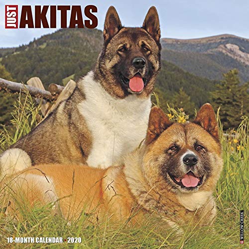 [B.O.O.K] Akitas 2020 Wall Calendar (Dog Breed Calendar) [P.P.T]