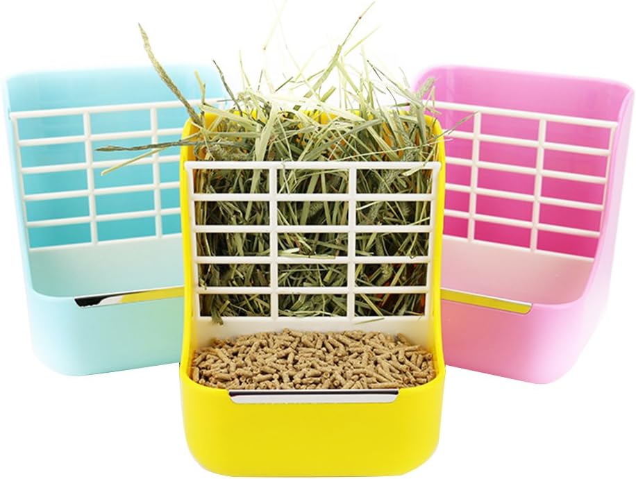 ferret colors and breeds