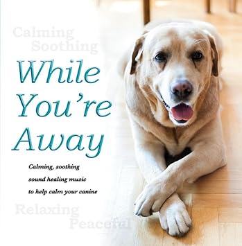 relaxing with my dog