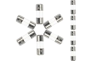 Dyruilanbo 3.6x10mm 5A 125V Mini Fuse 5 amp 125 Volt Christmas Light fuses 0.14x0.39Inch Small fuses Fast-Blow Glass Fuses (F5AL125V Pack of 10)