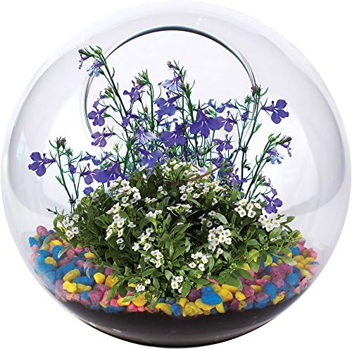 Mini Fairy Garden Glass Terrarium Gear Apparel Toys, 2017 Christmas Toys