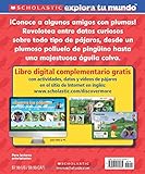 Image de Scholastic Explora tu Mundo: Pájaros: (Spanish language edition of Scholastic Discover More: Birds) (Spanish Edition)