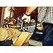 Poulan Pro PPB4014, 14 in. 40-Volt Cordless Chainsaw