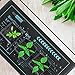 VIVOHOME 20W Waterproof Seedling Heat Mats for Seed Starting Propagation and Increase Germination Success 10 inch x 20.75 inch Pack of 2