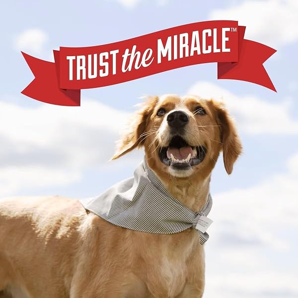 NATURE’S MIRACLE CARPET SHAMPOO, BIO-ENZYMATIC DEEP-CLEANING PET STAIN AND ODOR REMOVER, 64 OZ