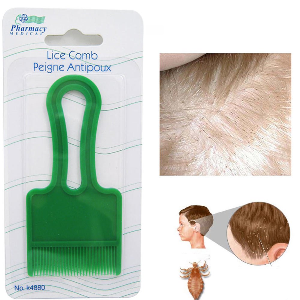 Buy 2 Lice Combs Head Pet Flea Hair Plastic Treatment Rid Fast