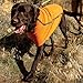 Ruffwear Climate Changer Fleece Jacket, Burnt Orange, Medium