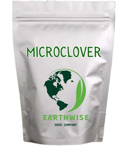 Amazon.com : Earthwise Thyme for a Change – Wild Creeping Thyme