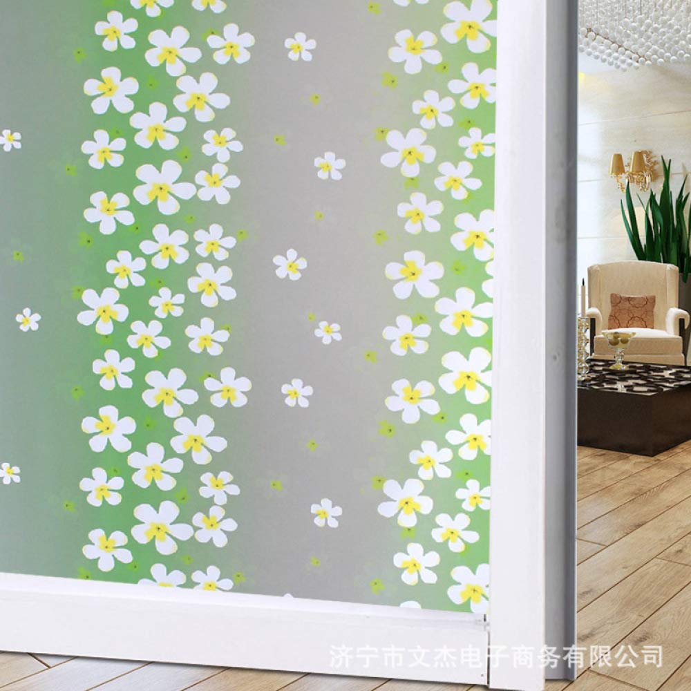 lsaiyy Etiqueta de Vidrio Esmerilado Opaco Transparente Opaco ...