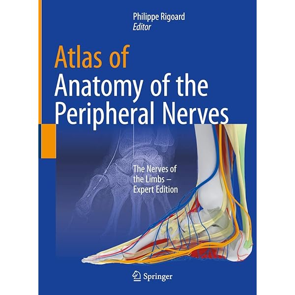 健康・医学 HADZIC'S PERIPHERAL NERVE BLOCKS Amazon.com: Hadzic's Peripheral Nerve Blocks and Anatomy for