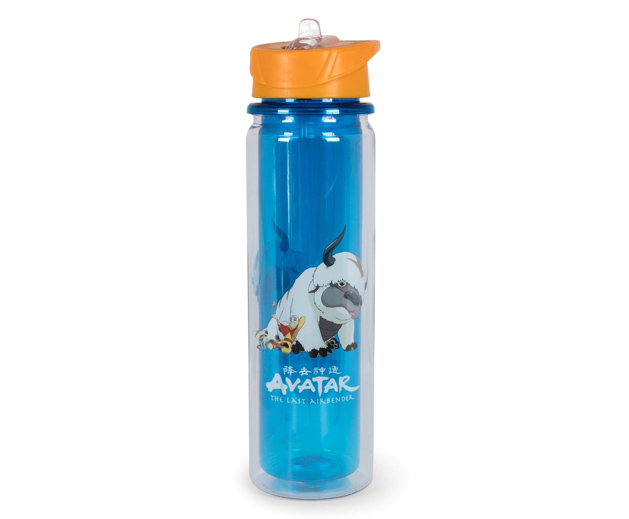 Surreal Entertainment Avatar: The Last Airbender Aang and Appa Water Bottle | Holds 16 Ounces