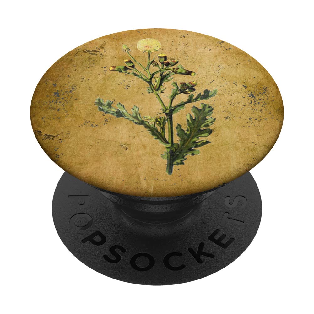 Vintage Dandelion Flower Aesthetic Floral Cottagecore PopSockets Swappable PopGrip