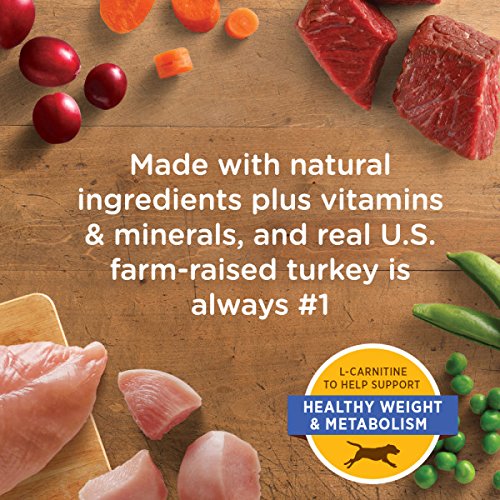 Best Dog Food For Yeast Infections 2018 [New Data]