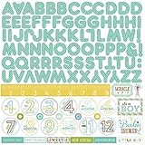Bundle Of Joy/A New Addition Cardstock Stickers 12