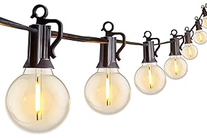 Outdoor String Lights 25 Feet G40 Globe LEDs Patio Lights with 13 Edison LED Bulbs(1 Spare), Waterproof Connectable Hanging L