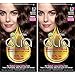 Garnier Olia Ammonia-Free Brilliant Color Oil-Rich Permanent Hair Color, 4.3 Dark Golden Brown (Pack of 2) Brown Hair Dye (Packaging May Vary)