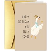 Obbyidk Funny Silly Goose Birthday Card for Him Her, Cute Goose Birthday Card for Son Daughter, Happy Bday Cards Gifts for Friend Family
