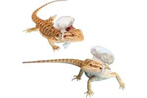 SEZDEKI 2 Pack Bearded Dragon Chef Hats - Small Animal Cotton Cooking Chef Cap with Adjustable Strap Halloween Costume Outfit Prop Clothes Accessories for Reptile Hamster Rat Leopard Gecko Ferret Hedgehog