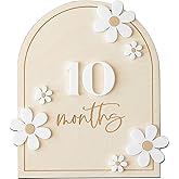 Daisy 3D Baby Monthly Milestone Wooden Signs | Monthly Milestone Wood Discs, Baby Milestone Discs