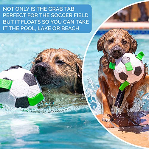 The Original Quality Hyper Pet Grab Tabs Dog Soccer Ball & Dog Football
