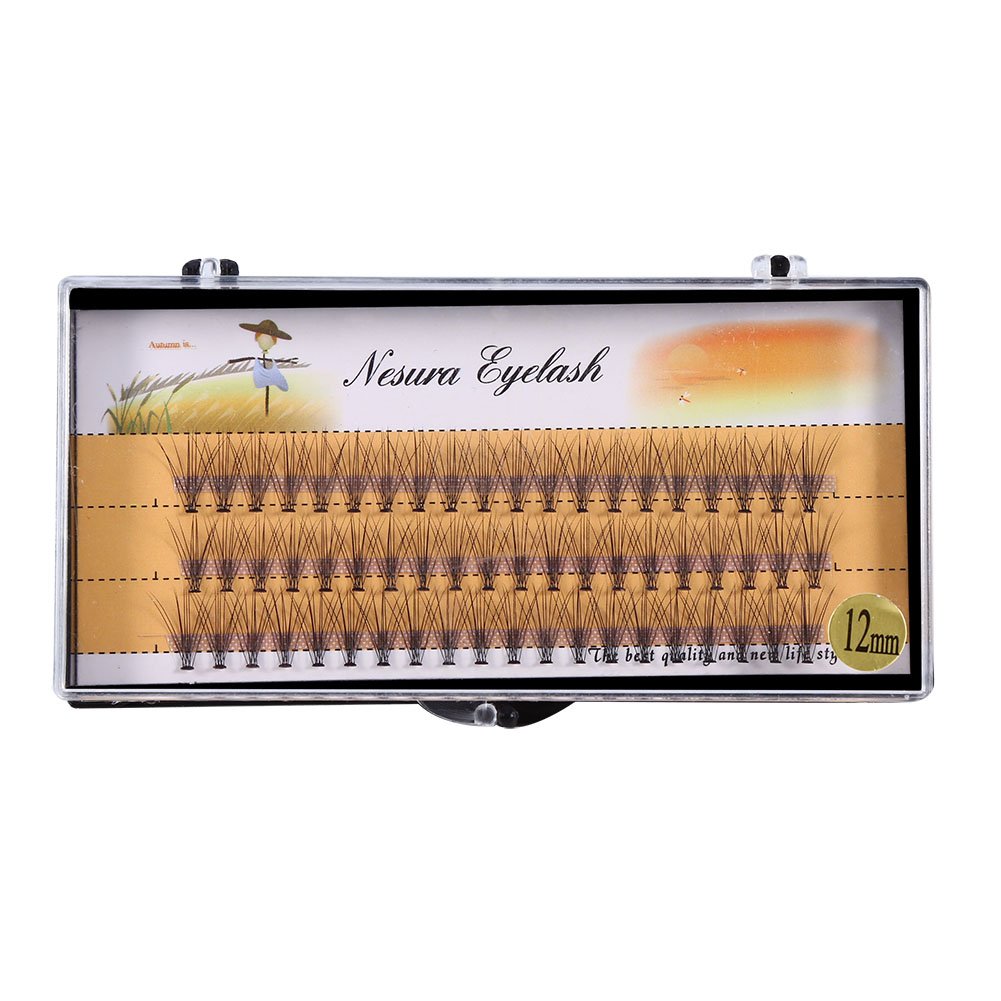Individual Lash Extensions, 60PCS 3D Volume Fans Natural False Eyelashes, 9-12mm, D Curl, Reusable Cluster Lashes for DIY Home Use