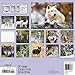 Wolves Wall Calendar (2017)