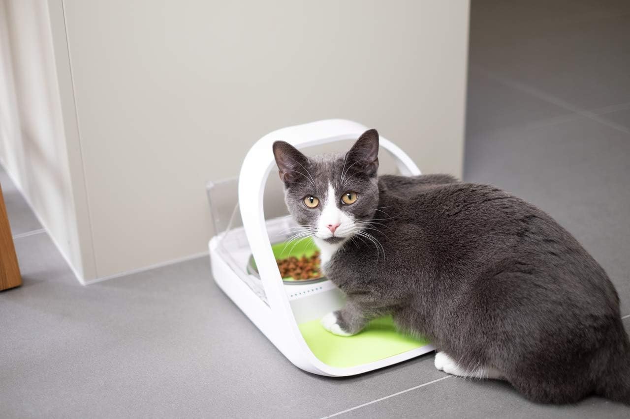 Amazon Com Sure Petcare Surefeed Microchip Pet Feeder Connect